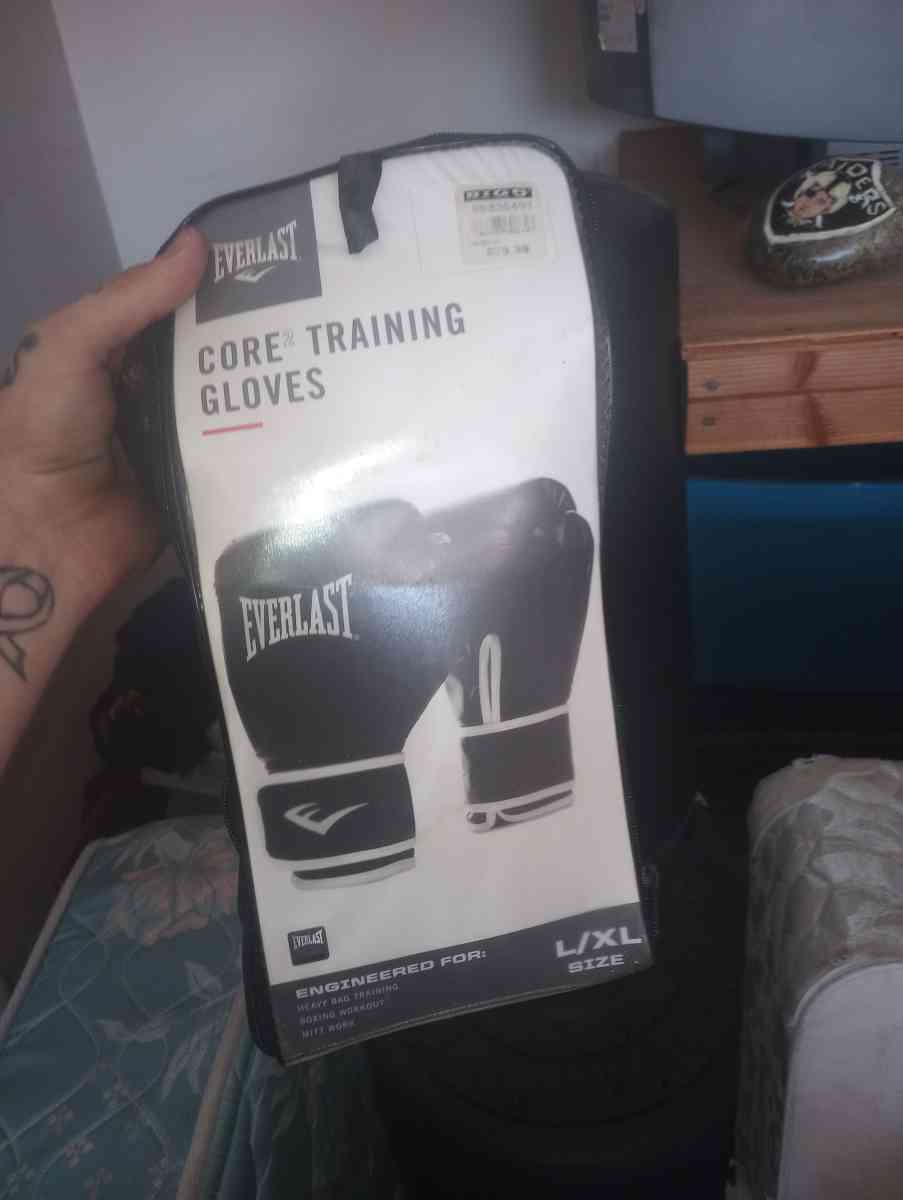 Everlast bag with gloves - Visalia, California - FleaMarketBay