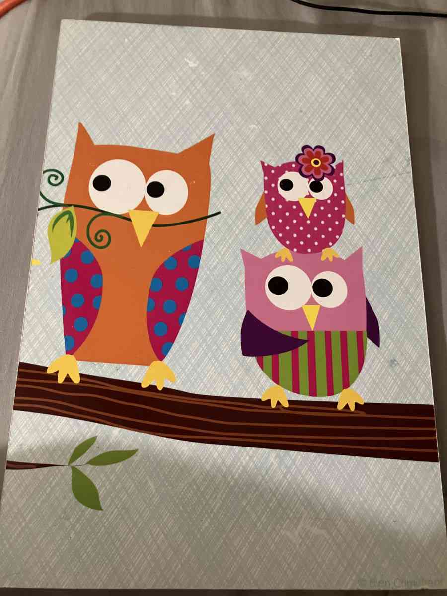 owl picture set - Byhalia, Mississippi