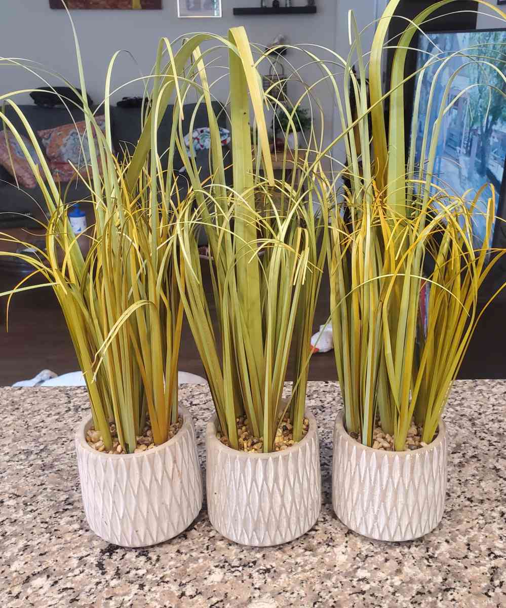 3 Artificial fake 19 Grass Plants in pots - Fort Worth, Texas - FleaMarketBay
