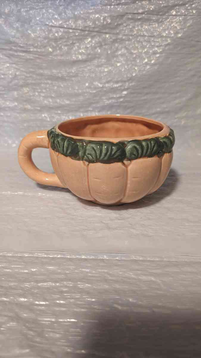 A Semi 3D Orange And Green Carrot Soup Bowl  Vegitable Bowl - Phoenix, Arizona