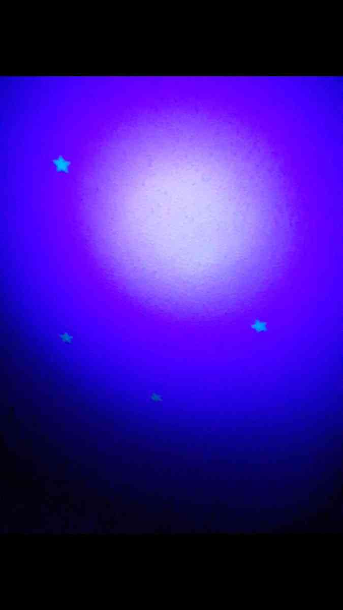 Thermal Flashlight - La Puente, California - FleaMarketBay