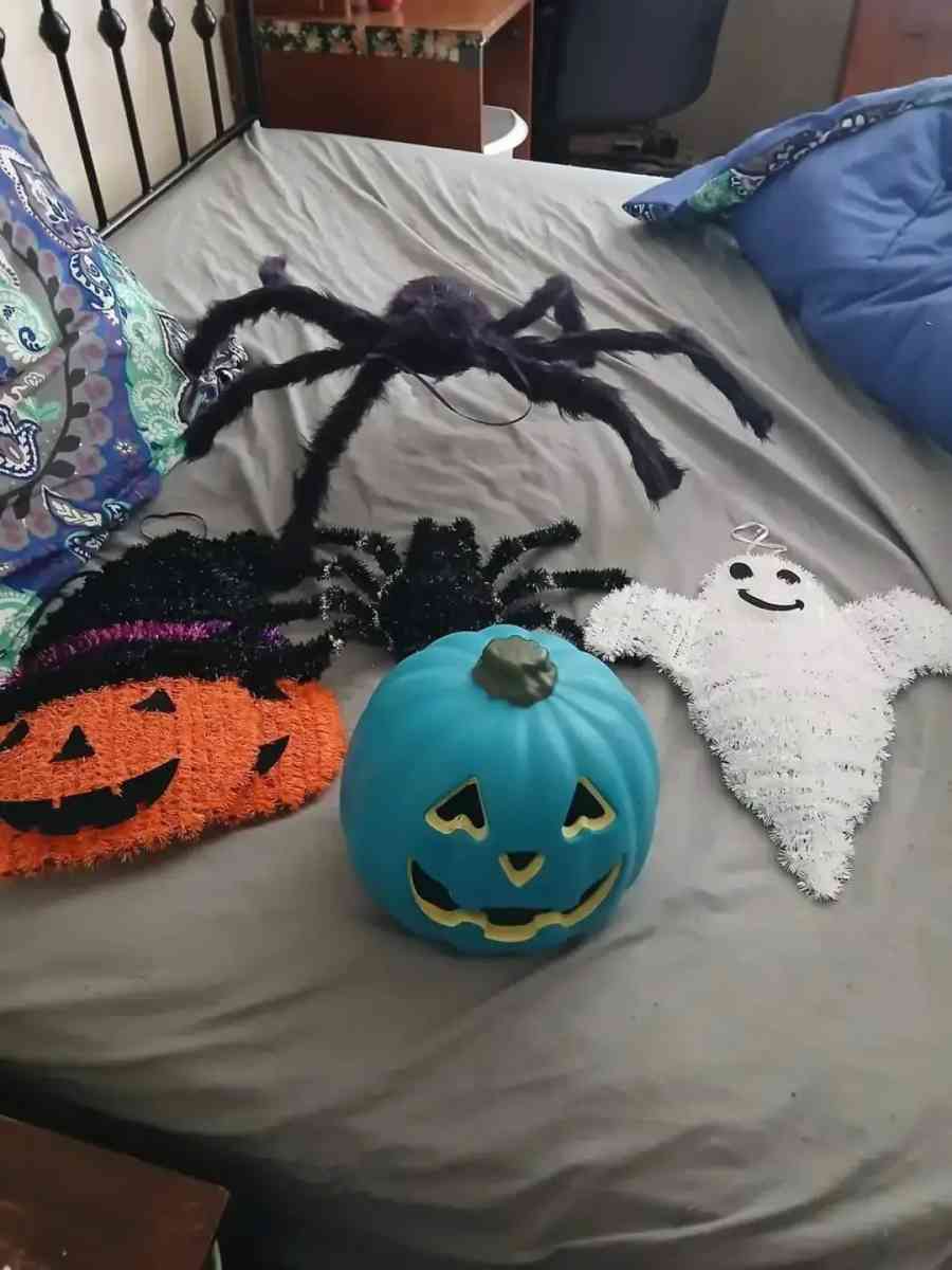 Halloween decor lot - Springfield, Pennsylvania - FleaMarketBay