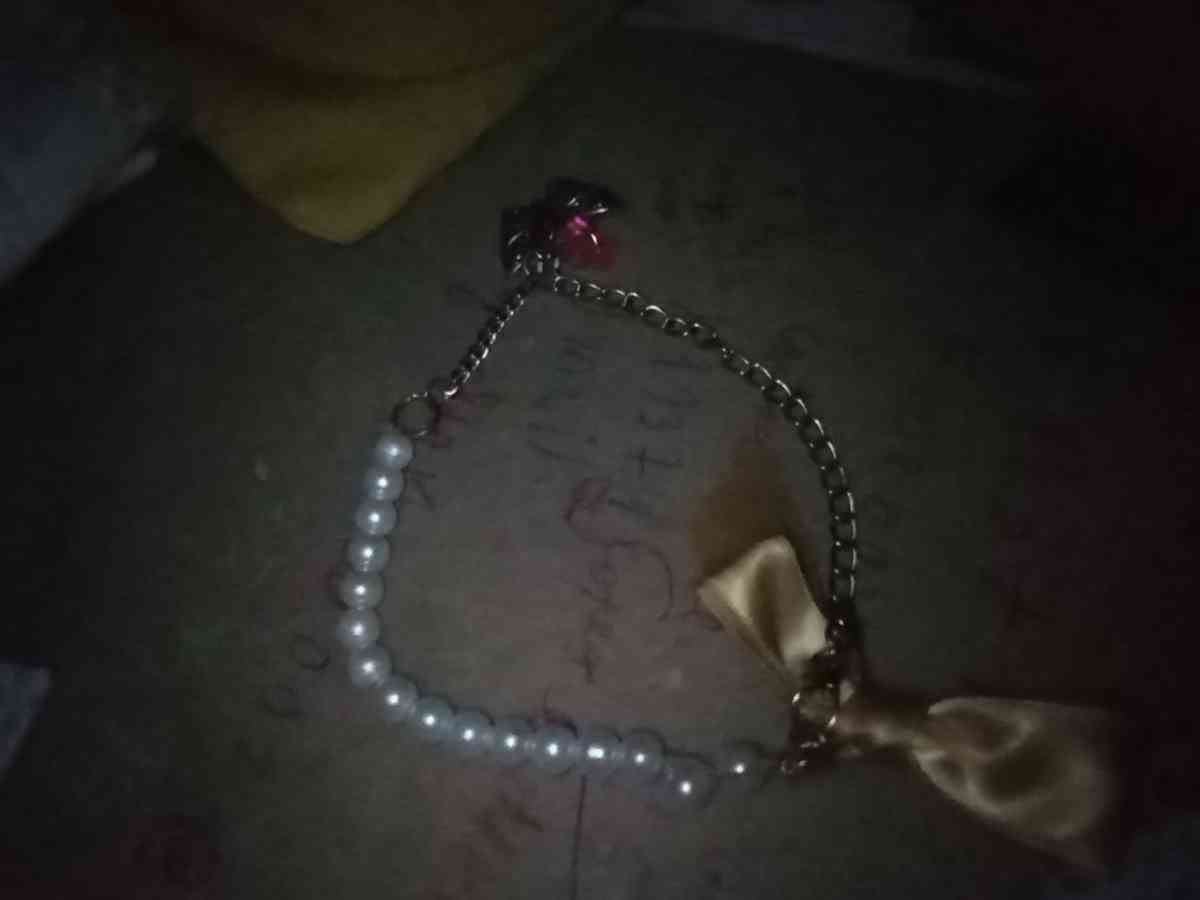 collar para cachora o pera