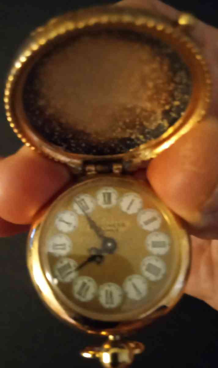 Baroness Pendent - Smithfield, Virginia - FleaMarketBay