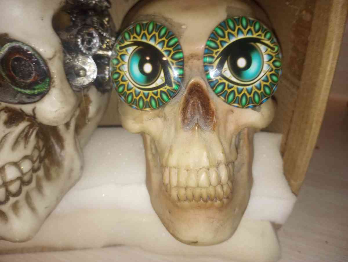 Halloween decoration - Tucson, Arizona - FleaMarketBay