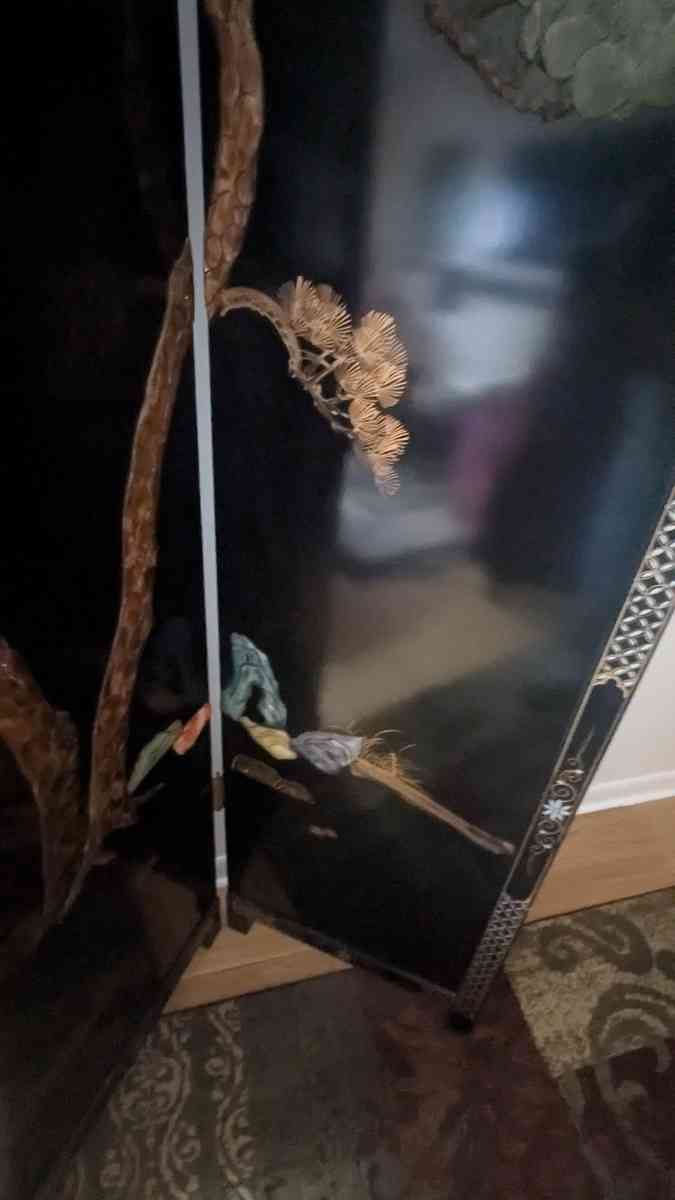 Chinese screen divider - Arlington Heights, Illinois - FleaMarketBay