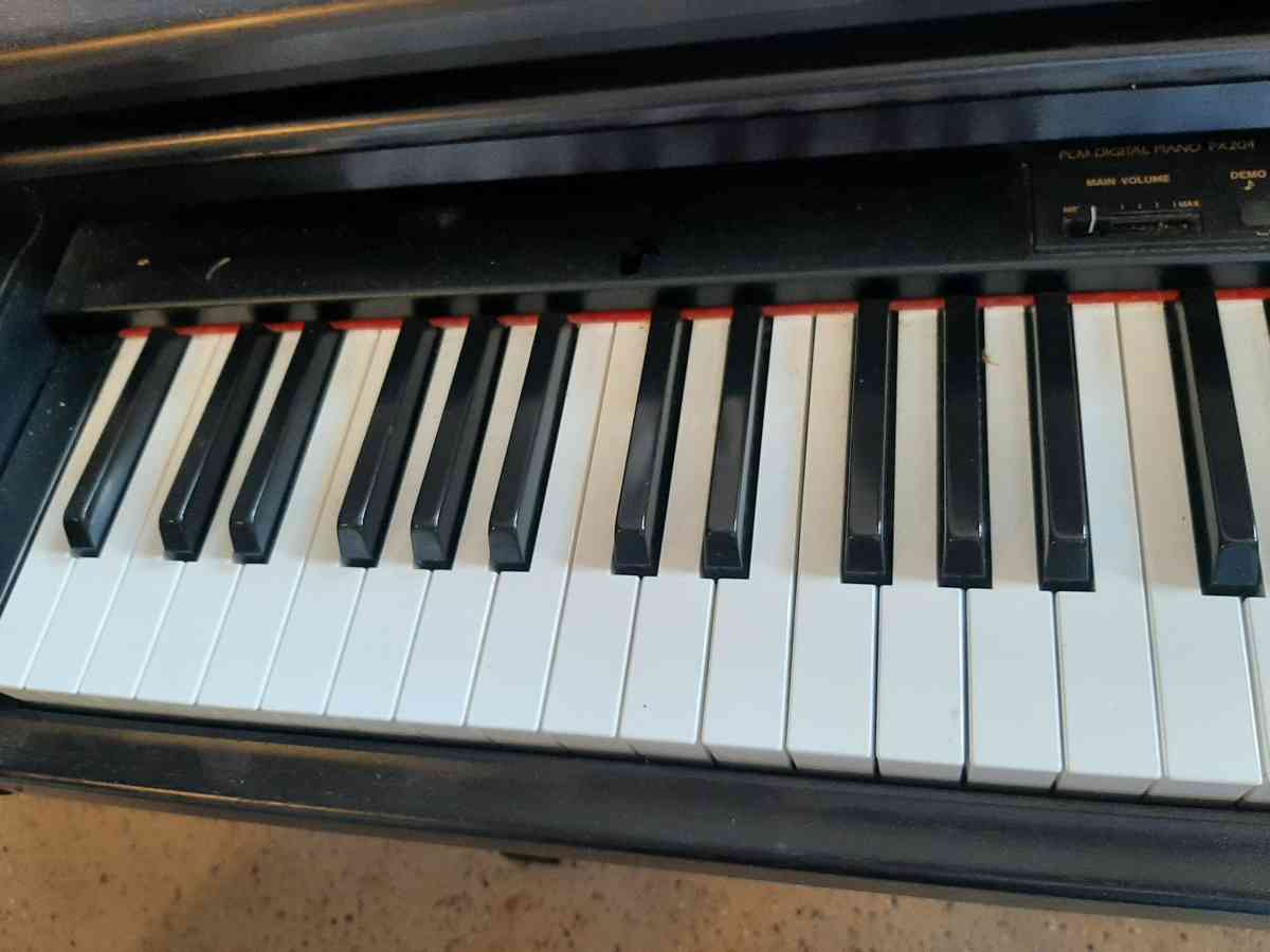 Technics Digital Piano - Landrum, South Carolina - FleaMarketBay