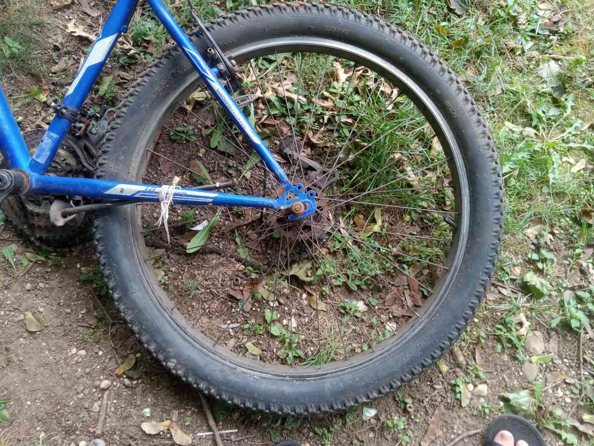 son buenas - Plainfield, New Jersey - FleaMarketBay