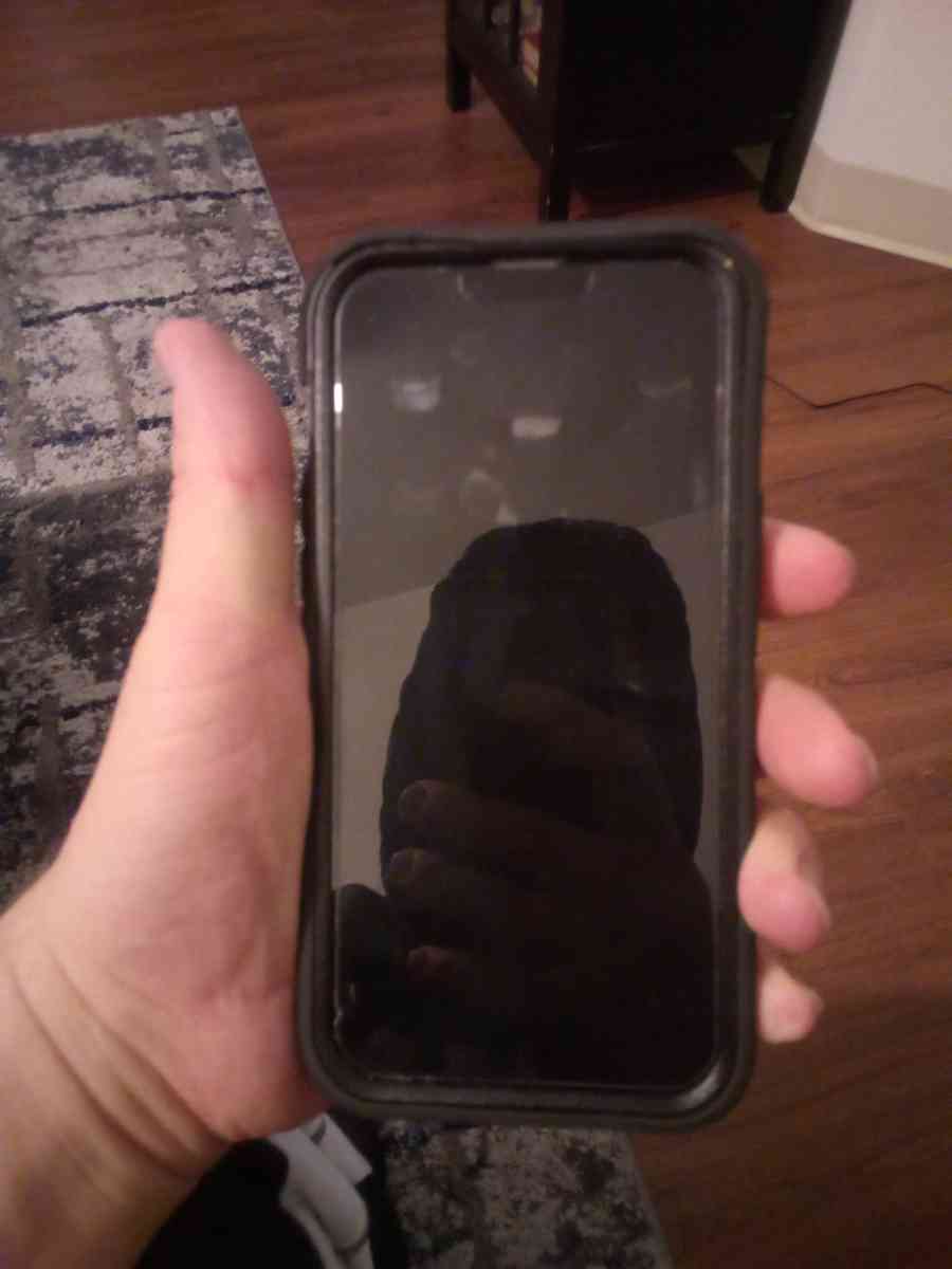 iPhone promax 13 - San Francisco, California - FleaMarketBay