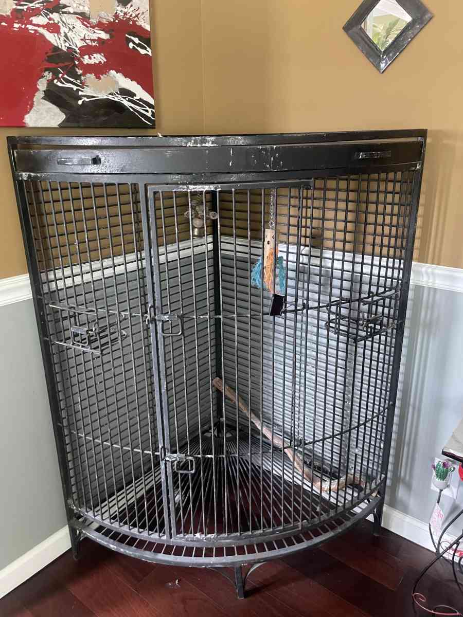 Bird Cage - Chattanooga, Tennessee - FleaMarketBay