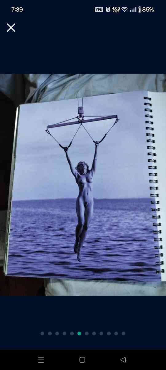 SEX By Madonna - San Diego, California - FleaMarketBay