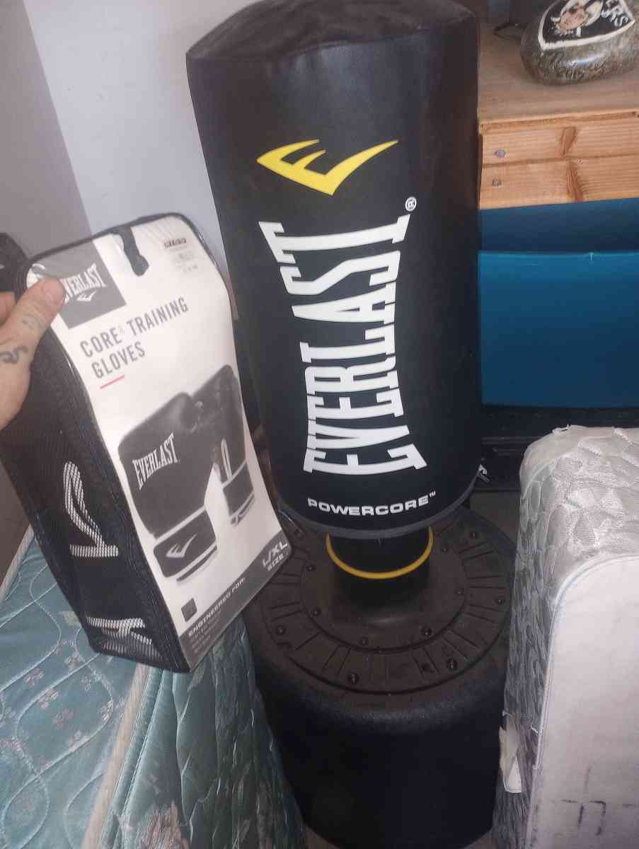 Everlast bag with gloves - Visalia, California