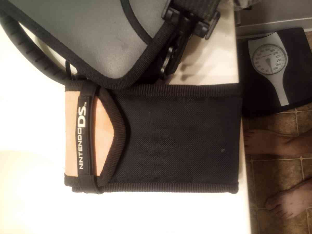 Nintendo DS lite - Lincoln, Nebraska - FleaMarketBay