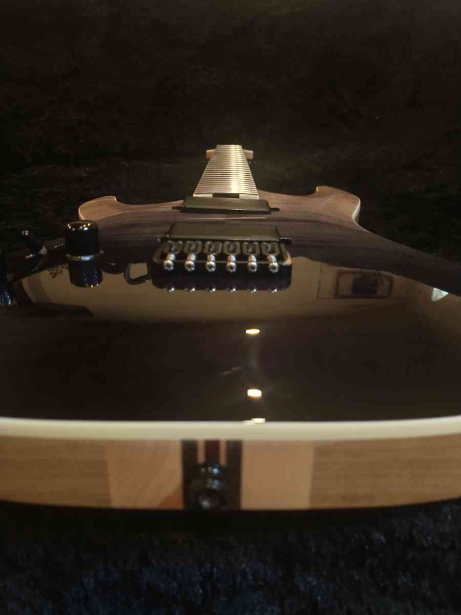 Schecter C1 SLS Elite Lefthanded - Grizzly Flats, California - FleaMarketBay