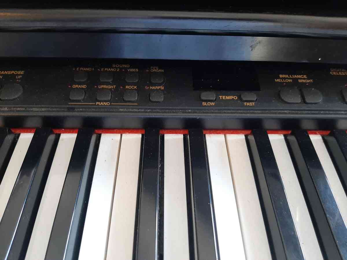 Technics Digital Piano - Landrum, South Carolina - FleaMarketBay