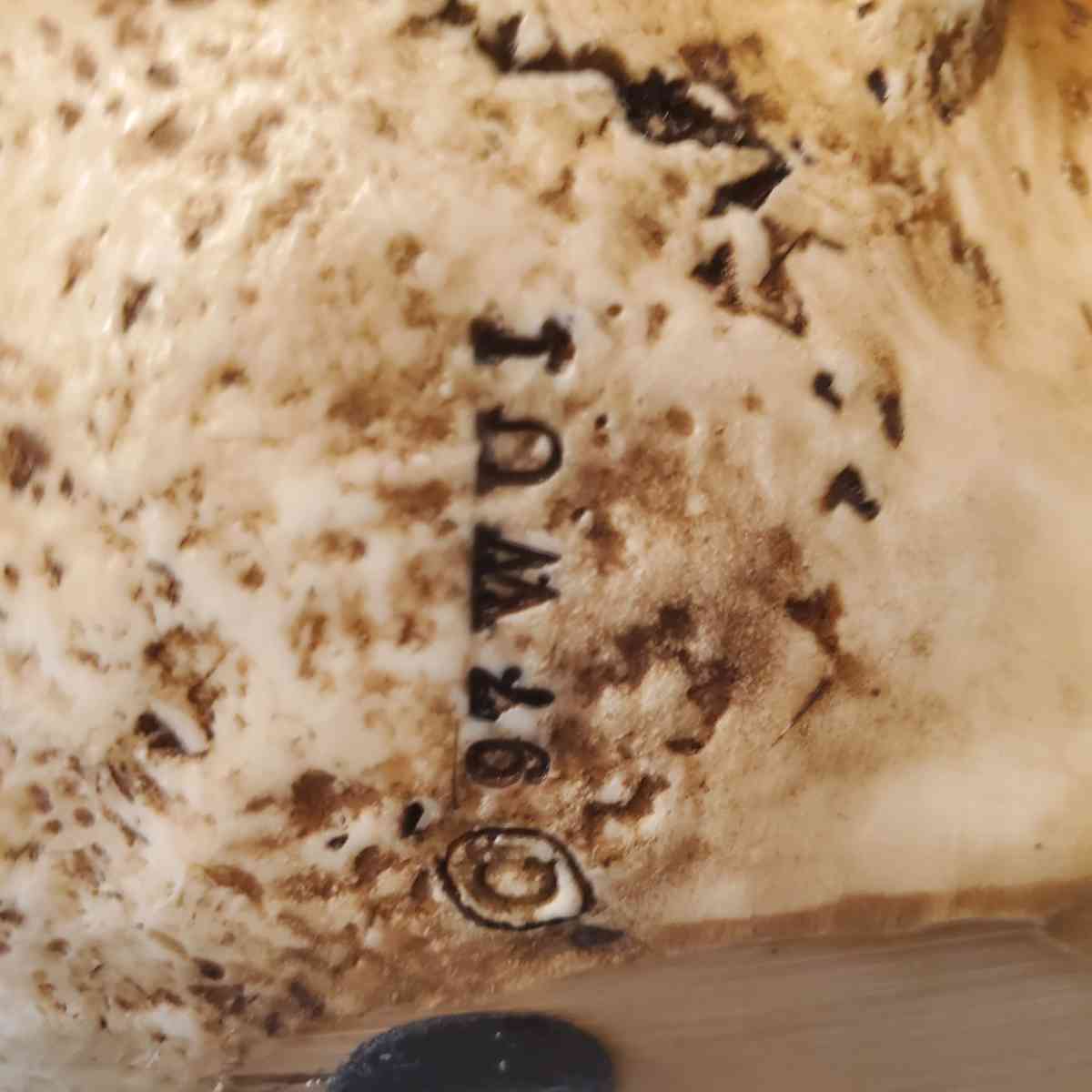 2 Large Resin Tribal Skulls 7x9 - Fort Worth, Texas - FleaMarketBay