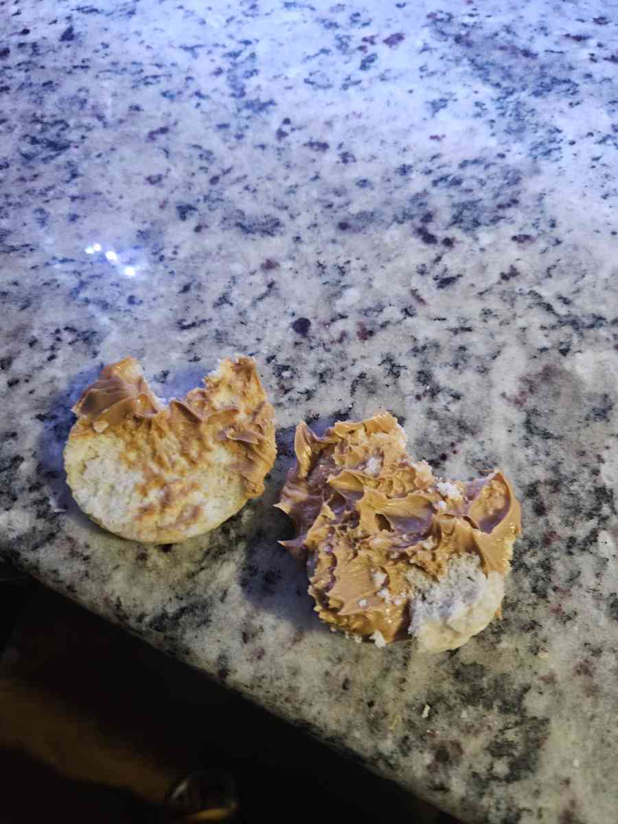 Peanut Butter Popeyes biscuit - Alexandria, Louisiana - FleaMarketBay