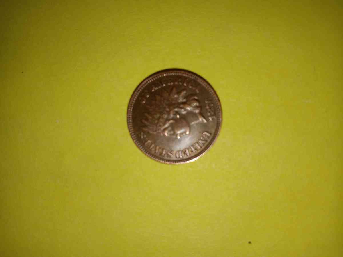 1876 Indian head penny - Henderson, Nevada