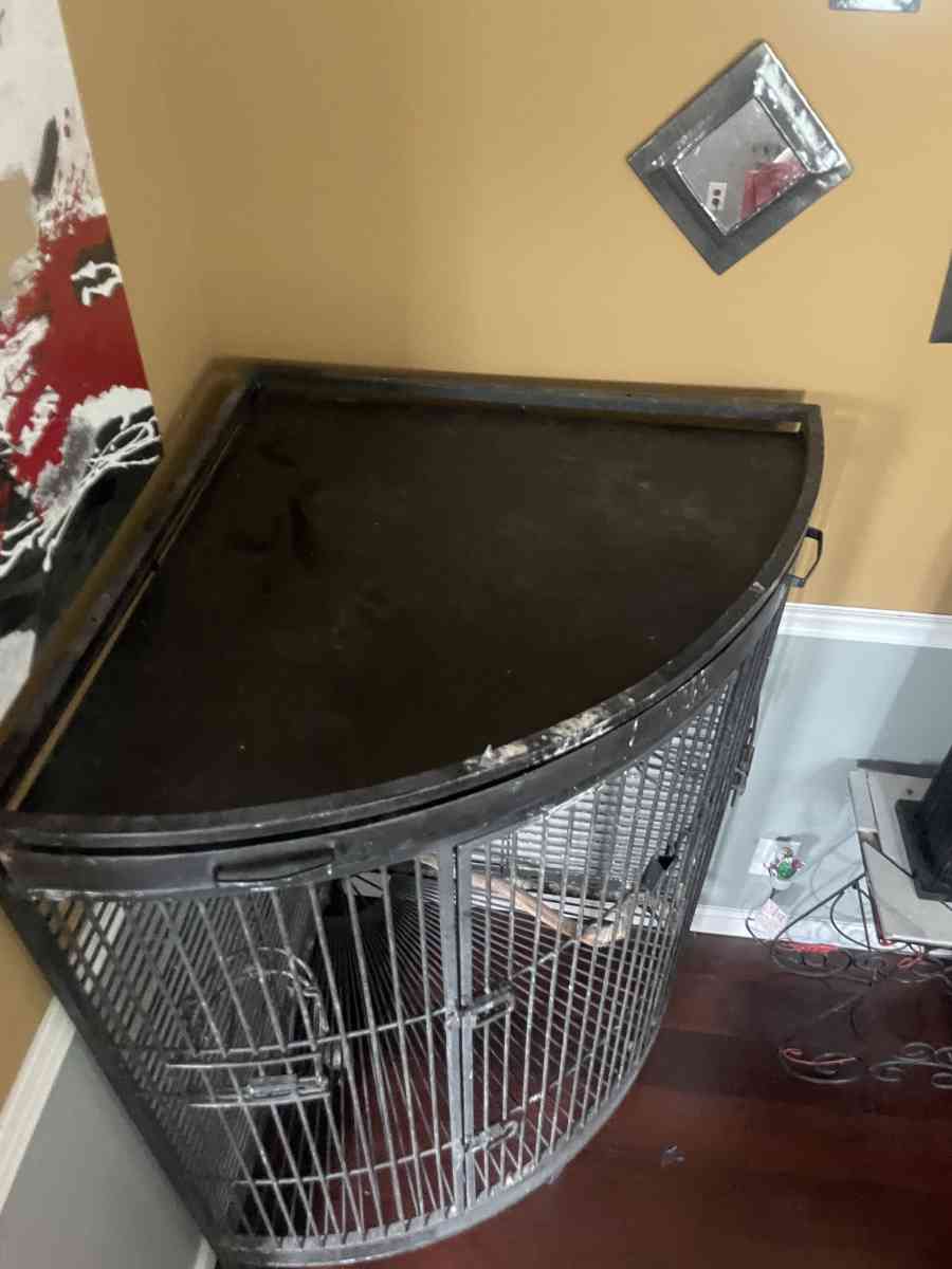 Bird Cage