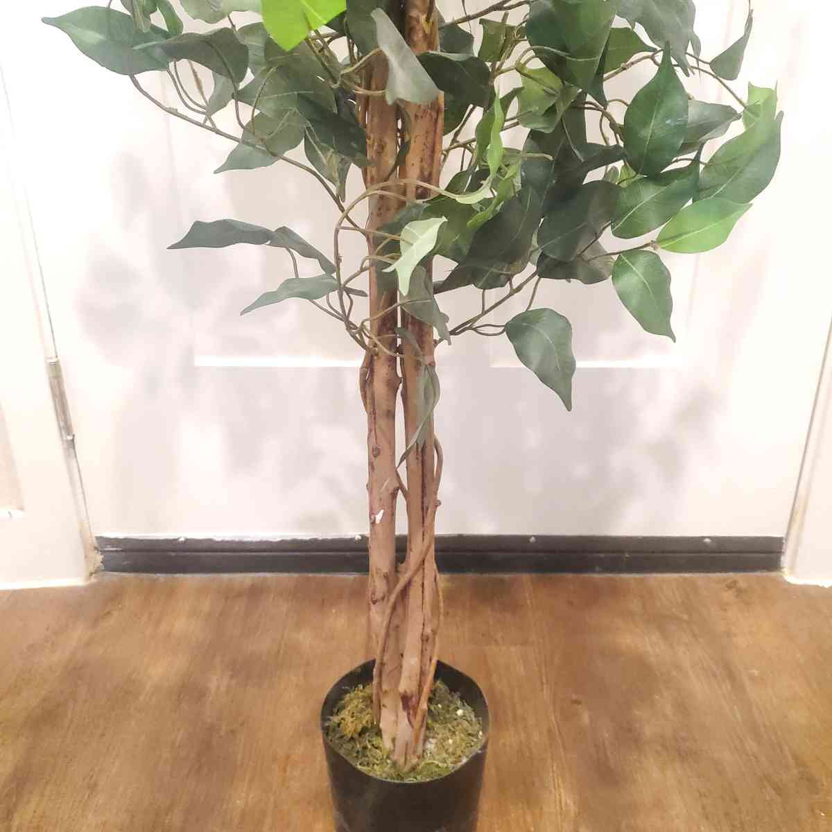 4 12 ft Artificial Fake Ficus Tree - Fort Worth, Texas - FleaMarketBay