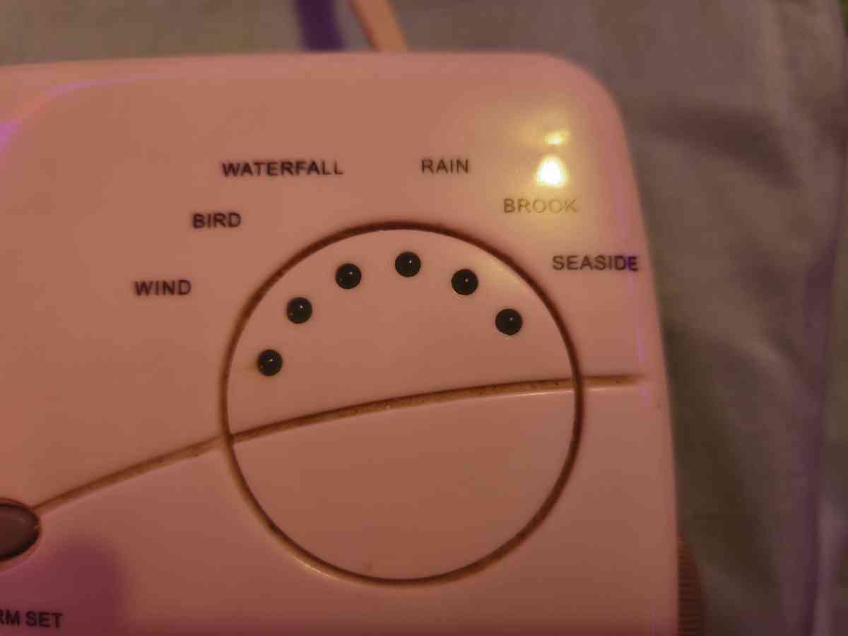 Perfection Soothing Sounds 2 Band Clock Radio - Crittenden, Kentucky - FleaMarketBay