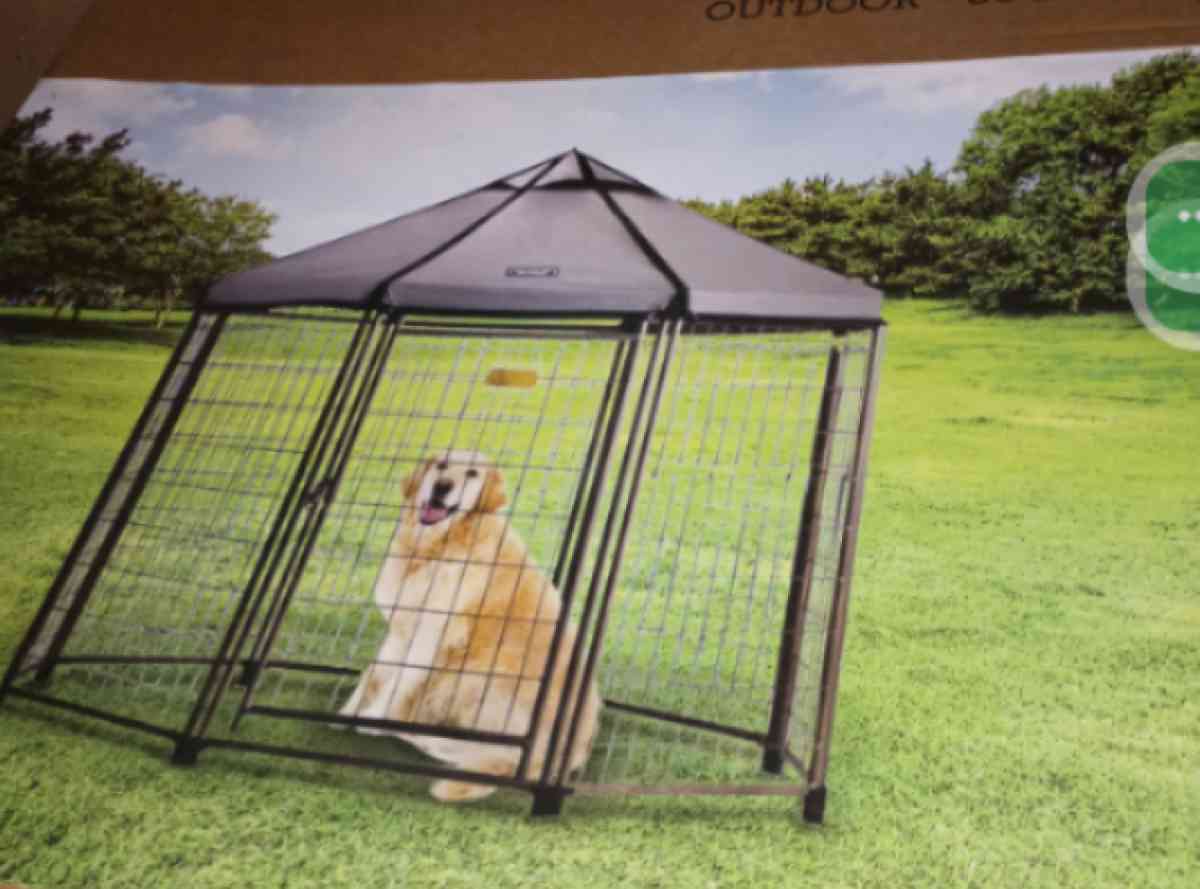 Pet Gazebo or Chicken Coop - Bakersfield, California