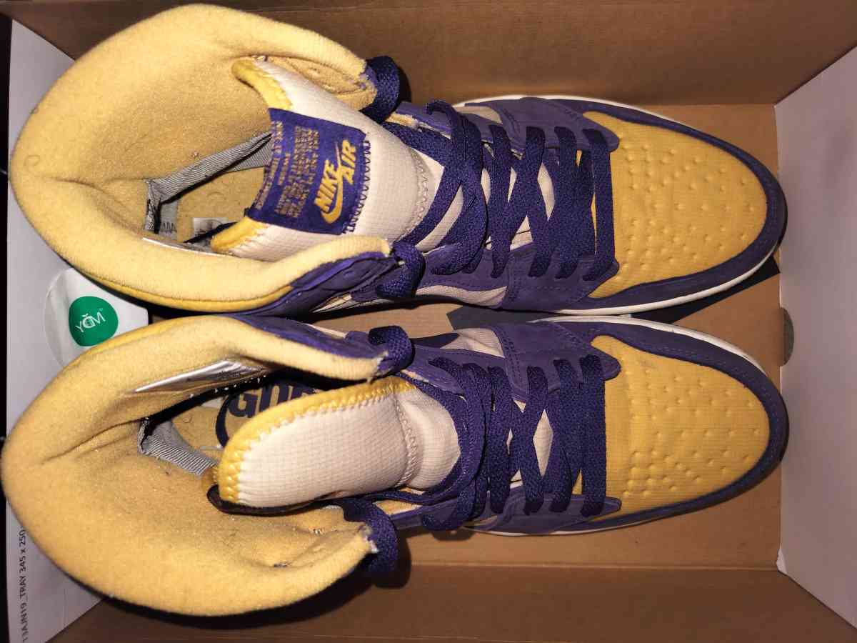 Air Jordan 1 High Element GORETEX - Jersey City, New Jersey - FleaMarketBay