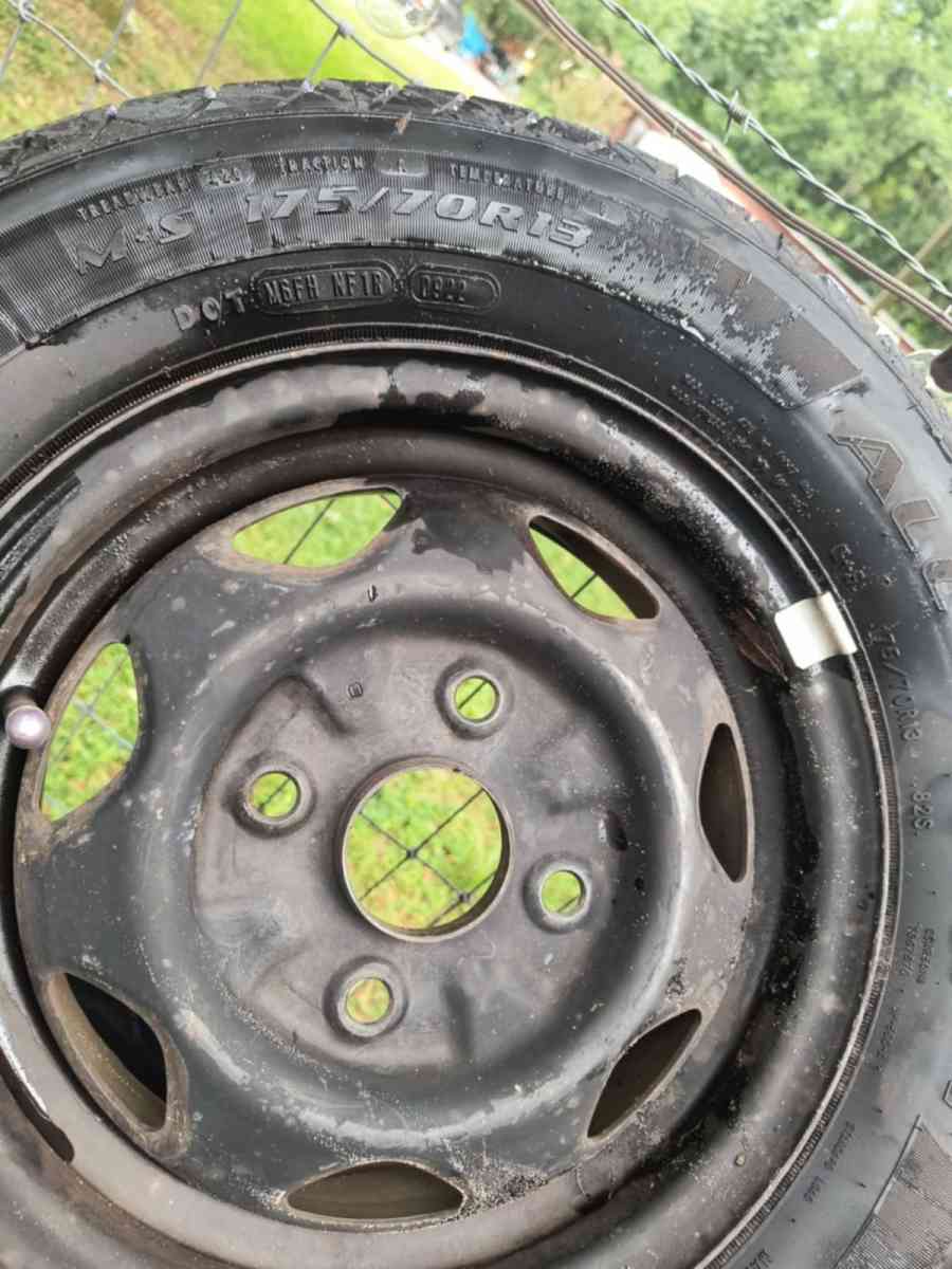 tries - Bushnell, Florida