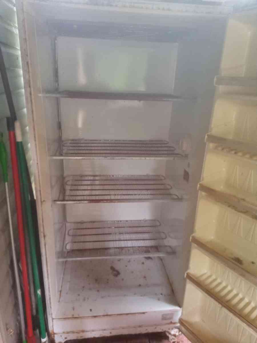 Gibson Upright Freezer - Conklin, New York - FleaMarketBay