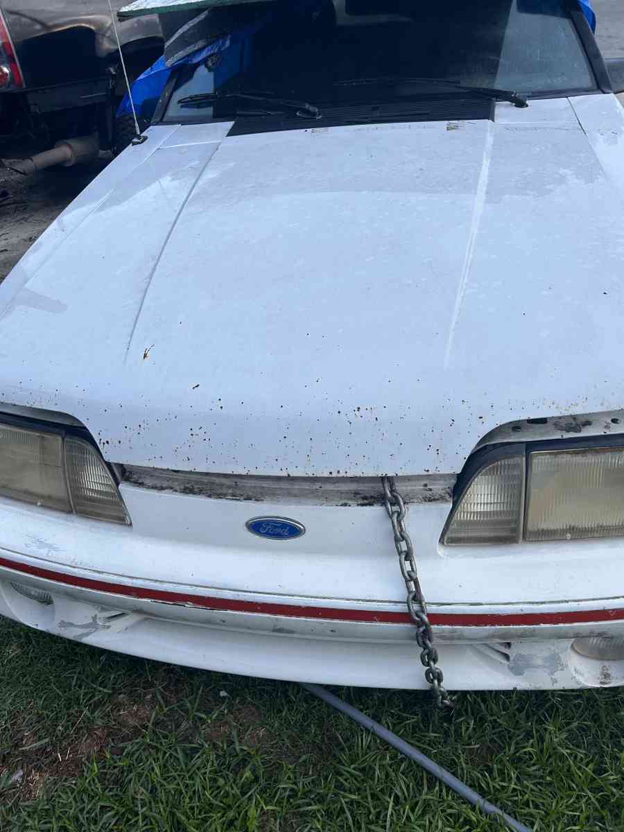 MUSTANG - San Antonio, Texas - FleaMarketBay