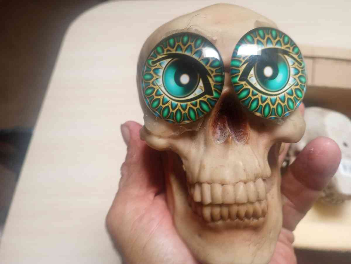 Halloween decoration - Tucson, Arizona - FleaMarketBay