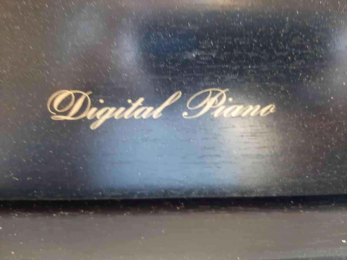 Technics Digital Piano - Landrum, South Carolina - FleaMarketBay