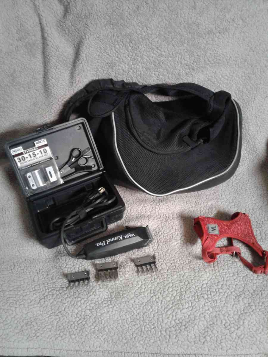 Puppy bundle - Sumter, South Carolina