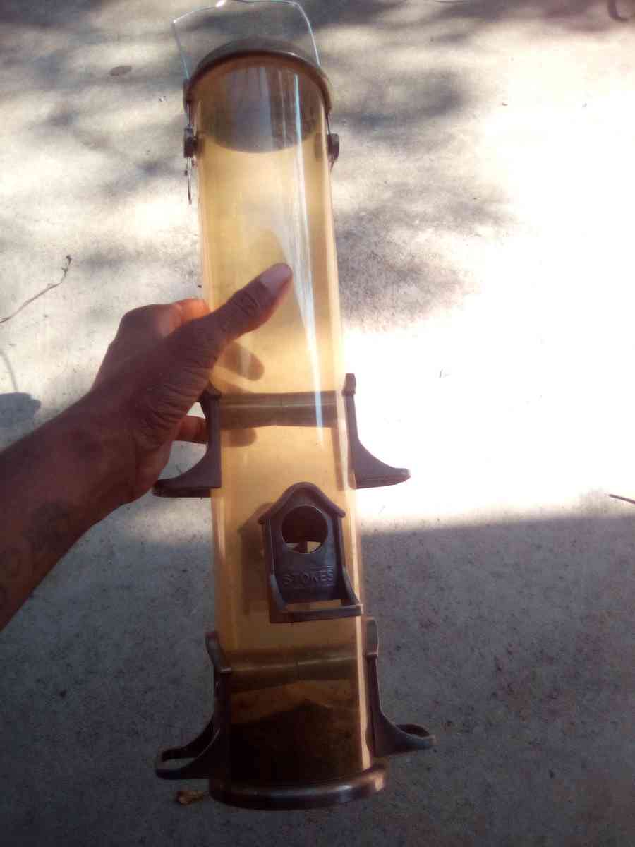 bird feeder - Donalsonville, Georgia