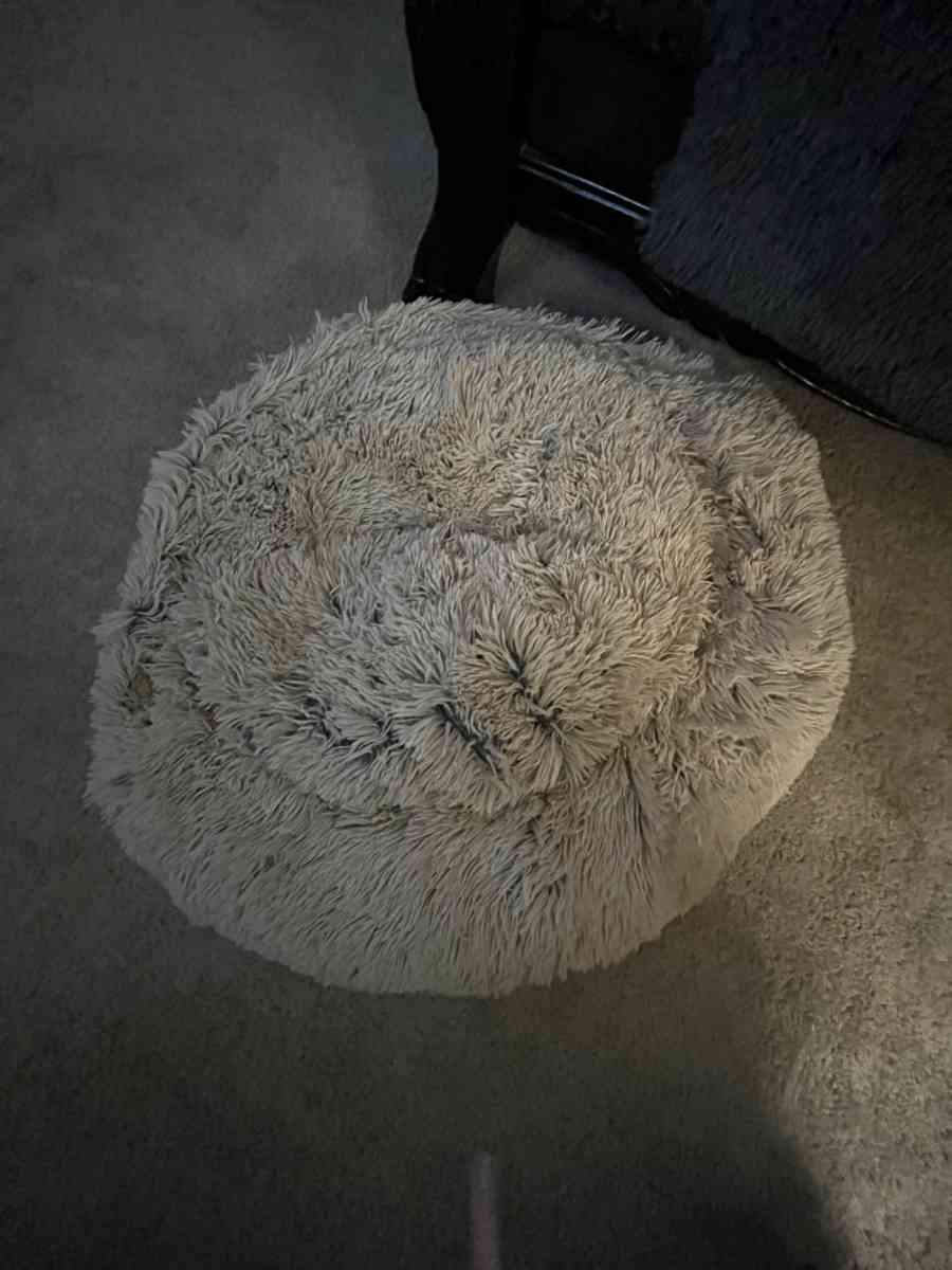 Medium Size Pet Bed