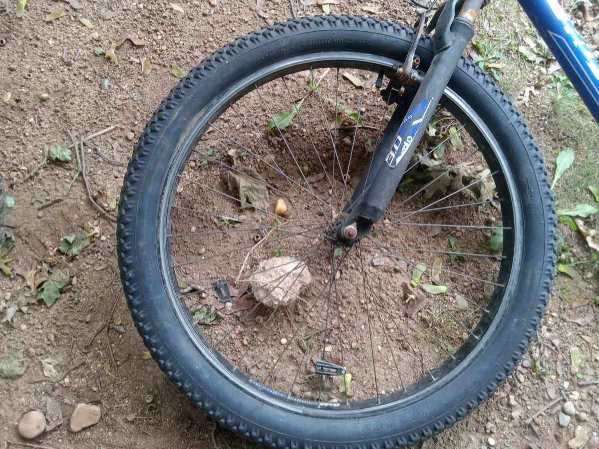 son buenas - Plainfield, New Jersey