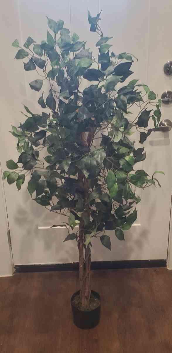 4 12 ft Artificial Fake Ficus Tree - Fort Worth, Texas - FleaMarketBay