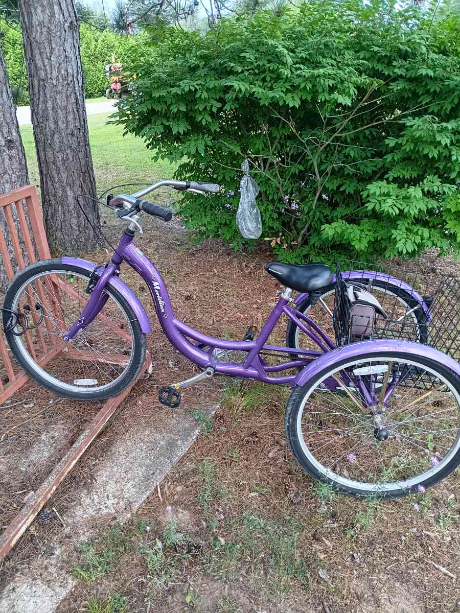 3 wheel bike - Mio, Michigan