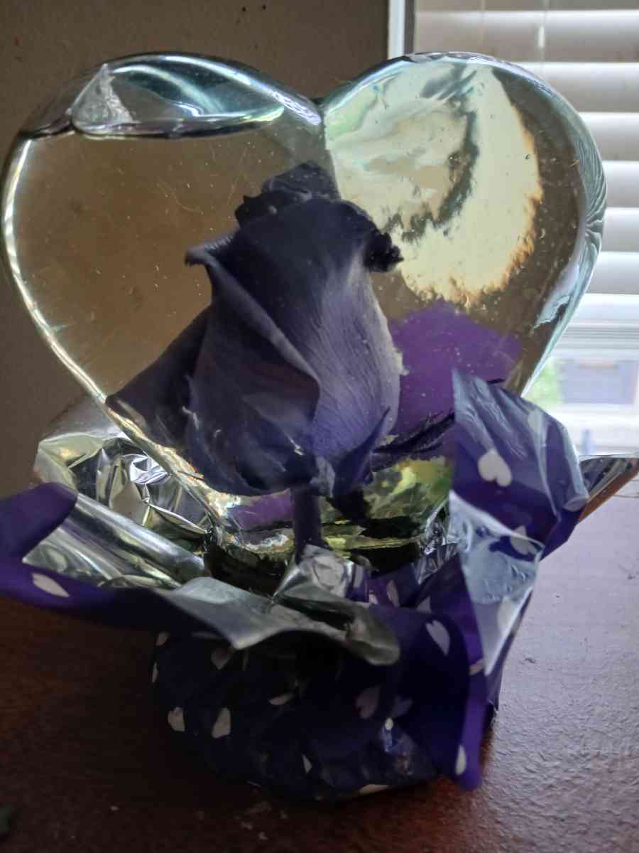rose in glass heart - Springfield, Pennsylvania - FleaMarketBay