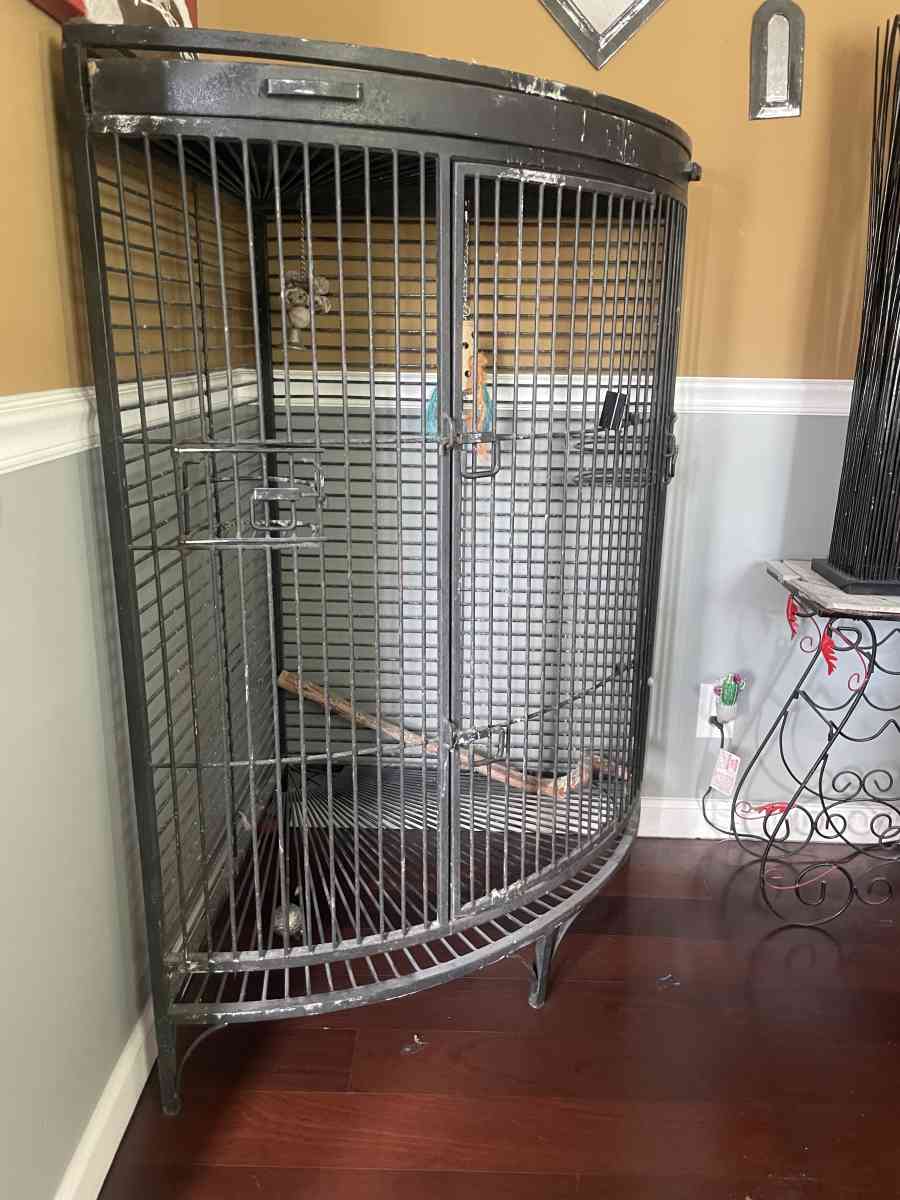 Bird Cage - Chattanooga, Tennessee - FleaMarketBay