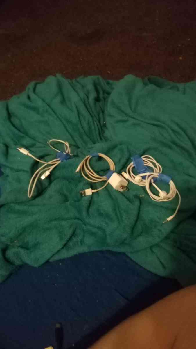 i have a iPhone chords plus the plug and earphones