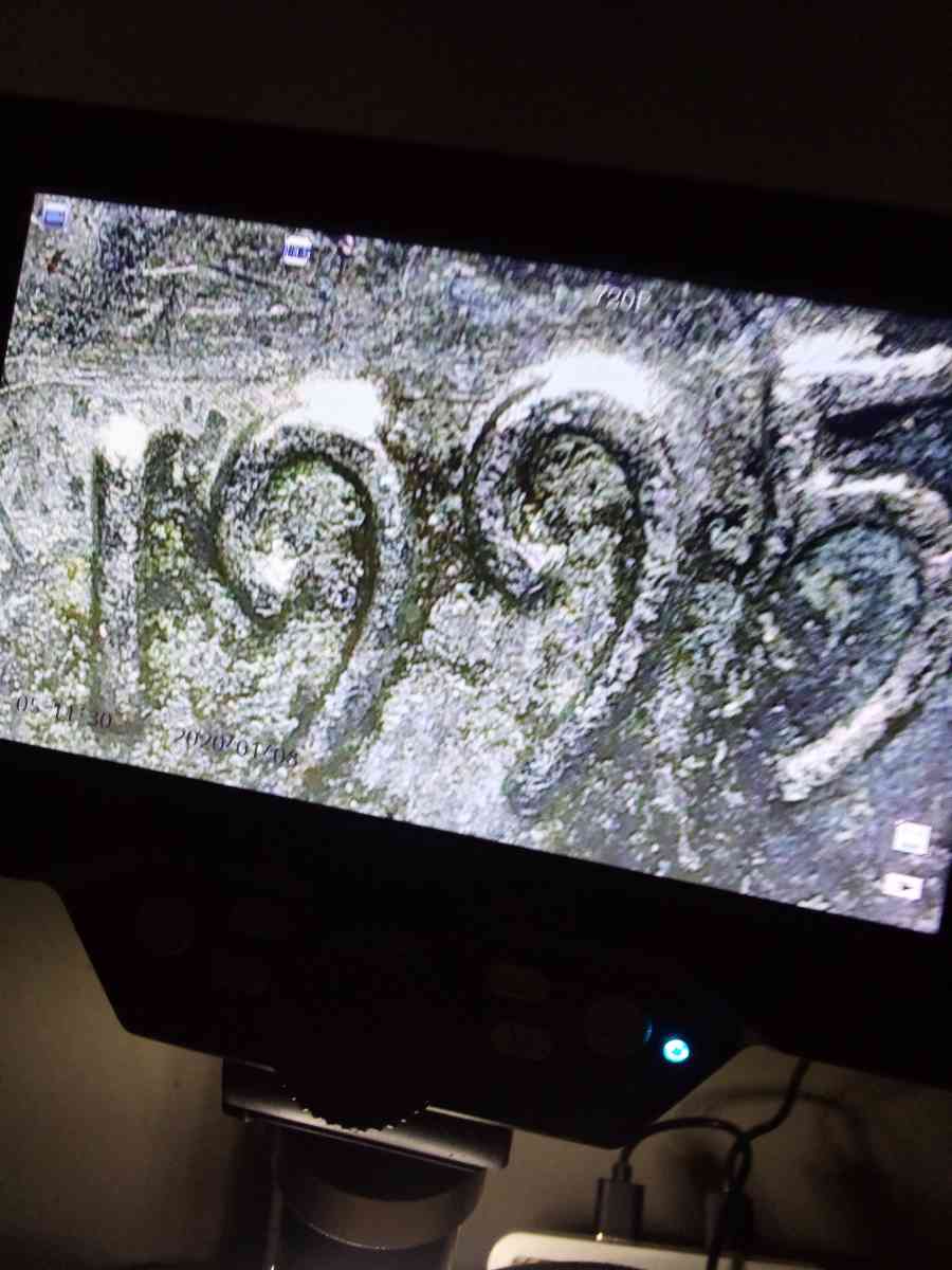 Im selling coins and - Binghamton, New York - FleaMarketBay