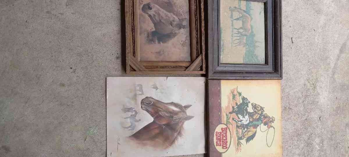 horse pictures - Donalsonville, Georgia