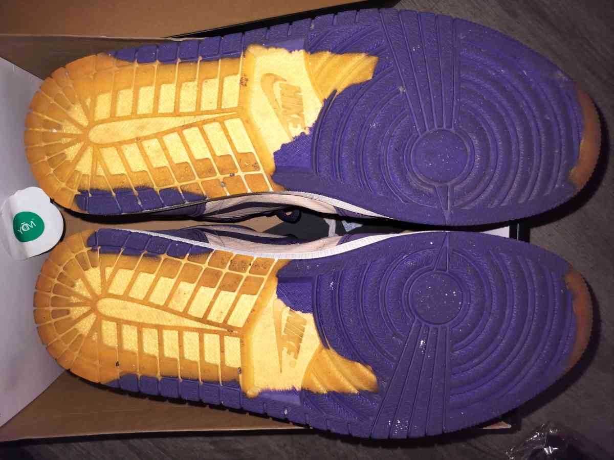 Air Jordan 1 High Element GORETEX - Jersey City, New Jersey - FleaMarketBay