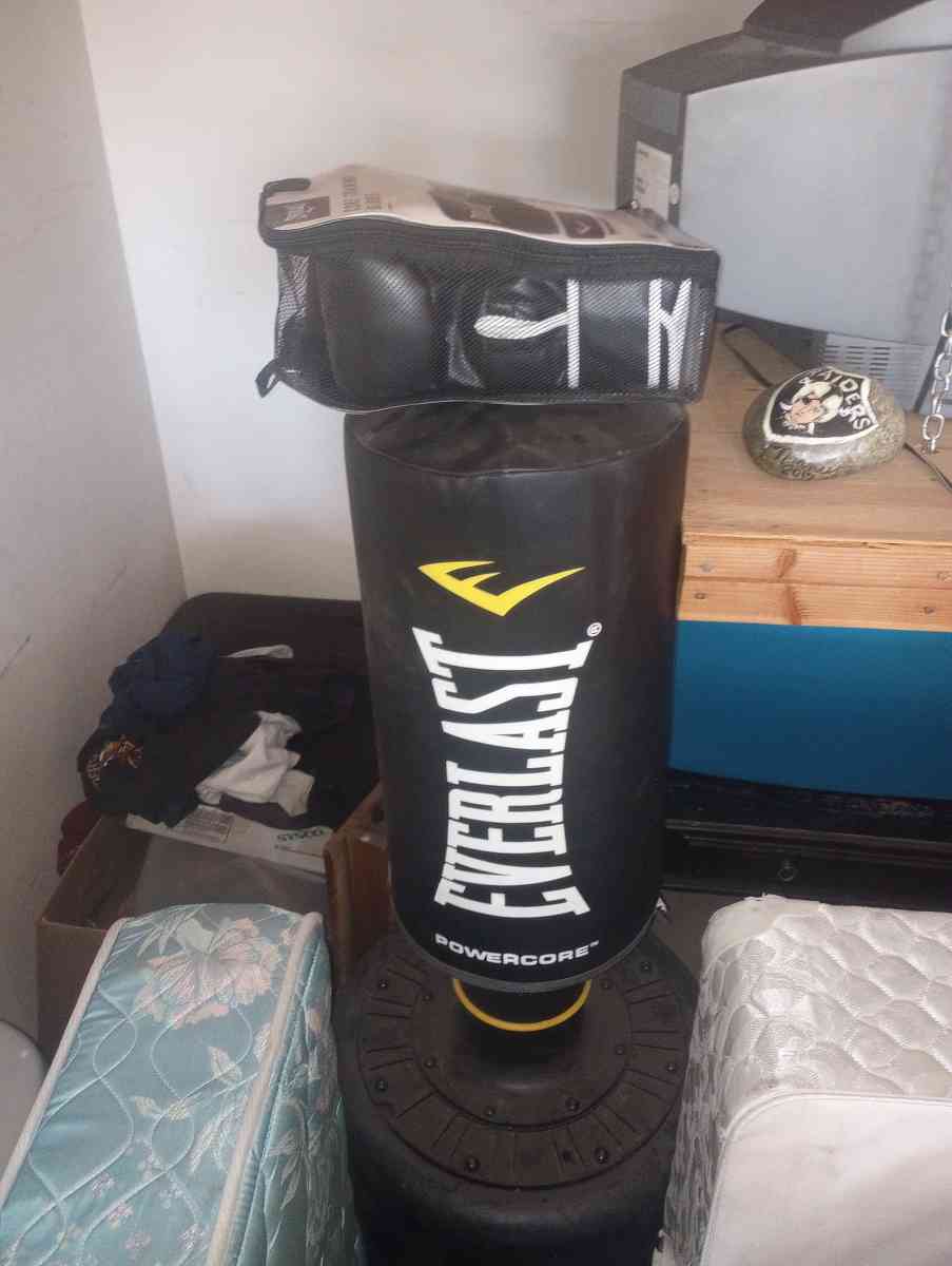 Everlast bag with gloves - Visalia, California - FleaMarketBay