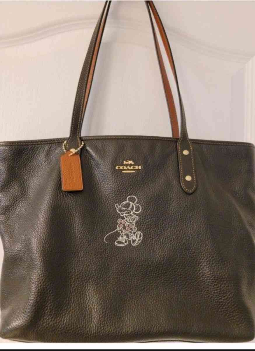 Minnie Mouse Coach Purse - Hudson, Florida - FleaMarketBay