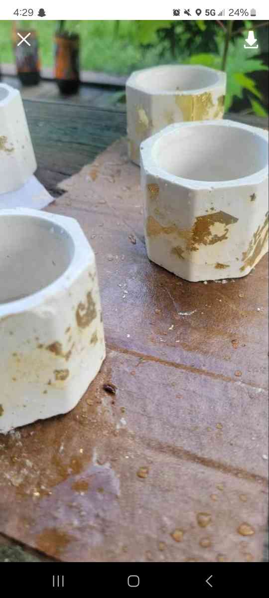 plant pot - Ypsilanti, Michigan