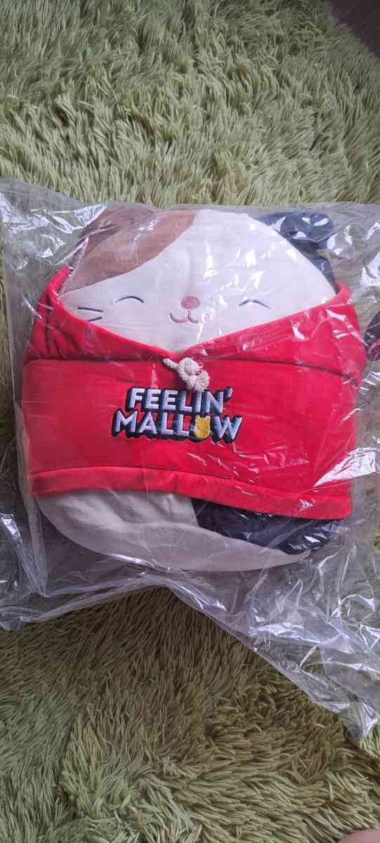 squishmallows cam - Katy, Texas