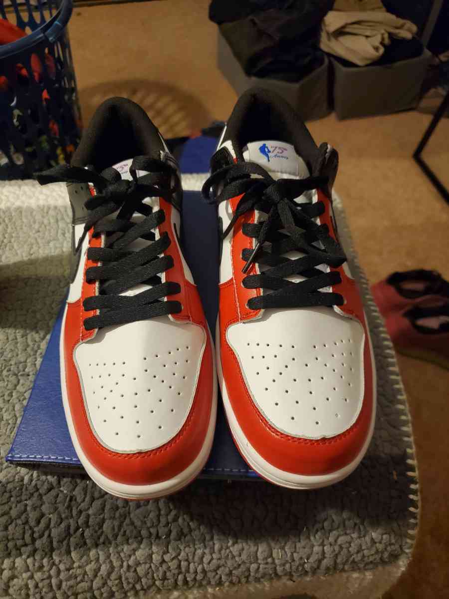 Nike dunks 75th anniversary tag sneakers - Chester, Virginia