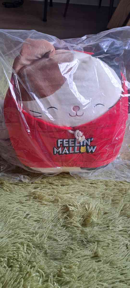 squishmallows cam - Katy, Texas - FleaMarketBay